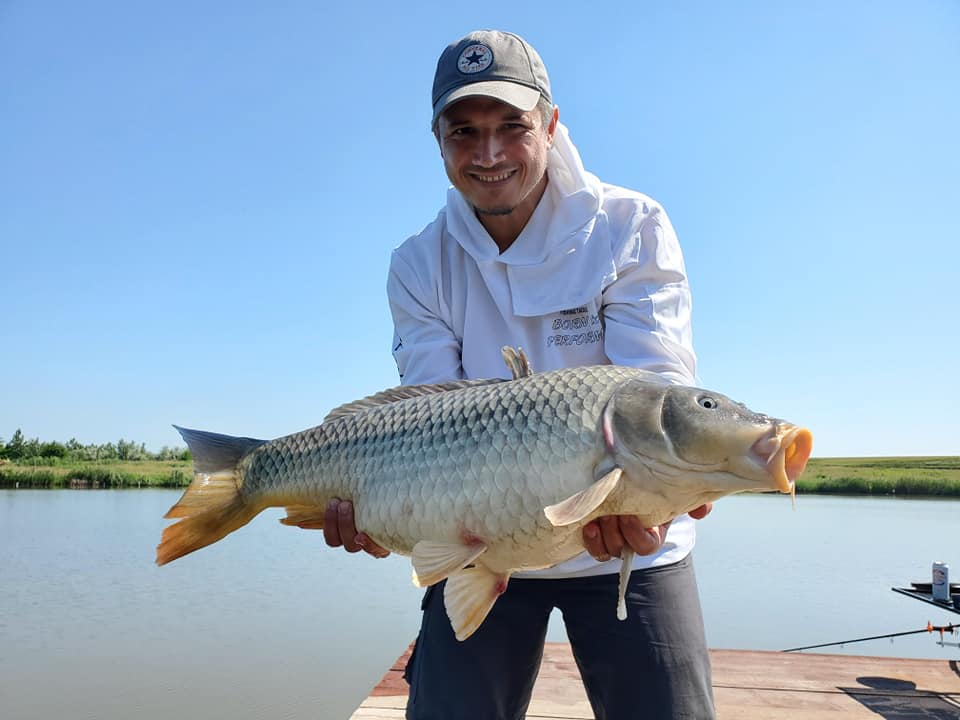 MIRCEA MIRCESCU