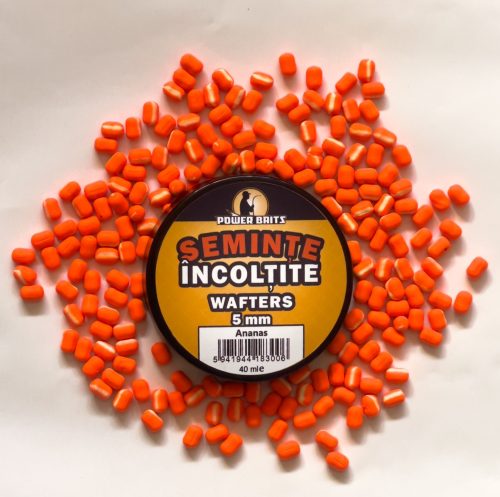 Wafter Seminte Incoltite Ananas 5mm